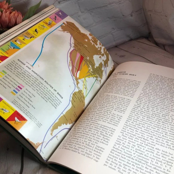 Vintage 1979 READER'S DIGEST MARVELS & MYSTERIES OF OUR ANIMAL WORLD - Picture 9 of 10